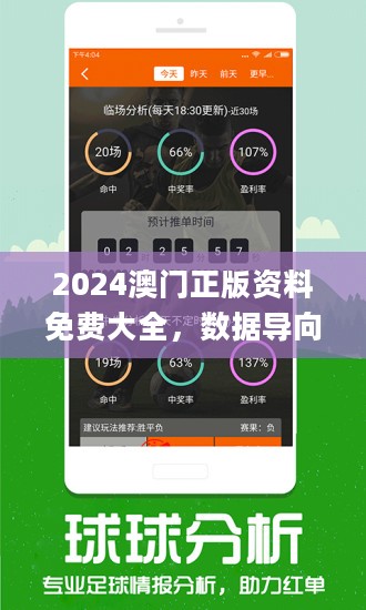 2024新奥精准资料免费大全078期,揭秘新奥精准资料免费大全 078期，探寻未来趋势的钥匙