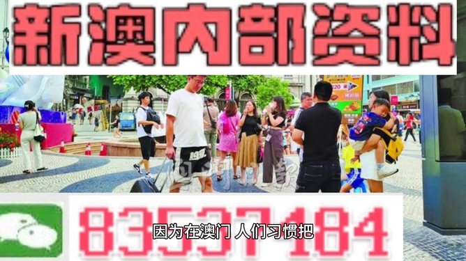 2024年澳门精准免费大全,关于澳门精准免费大全的探讨（犯罪问题）