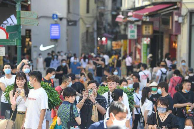 新澳天天开奖资料大全旅游团,新澳天天开奖资料大全旅游团，警惕背后的风险与犯罪问题