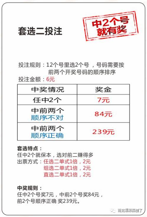 新澳门49码中奖规则,新澳门49码中奖规则解析——警惕违法犯罪风险